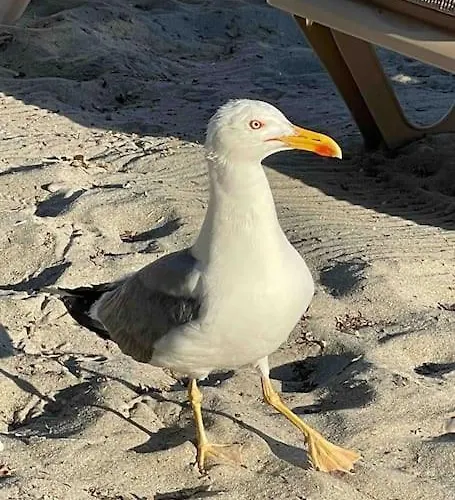 #ljubodoma Apartmán *